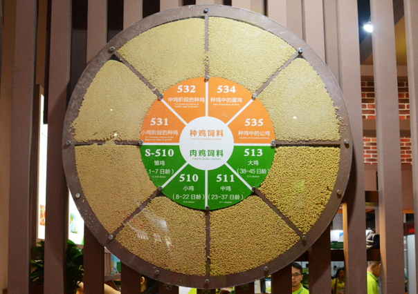 新利luck18(中国)体育·官方网站