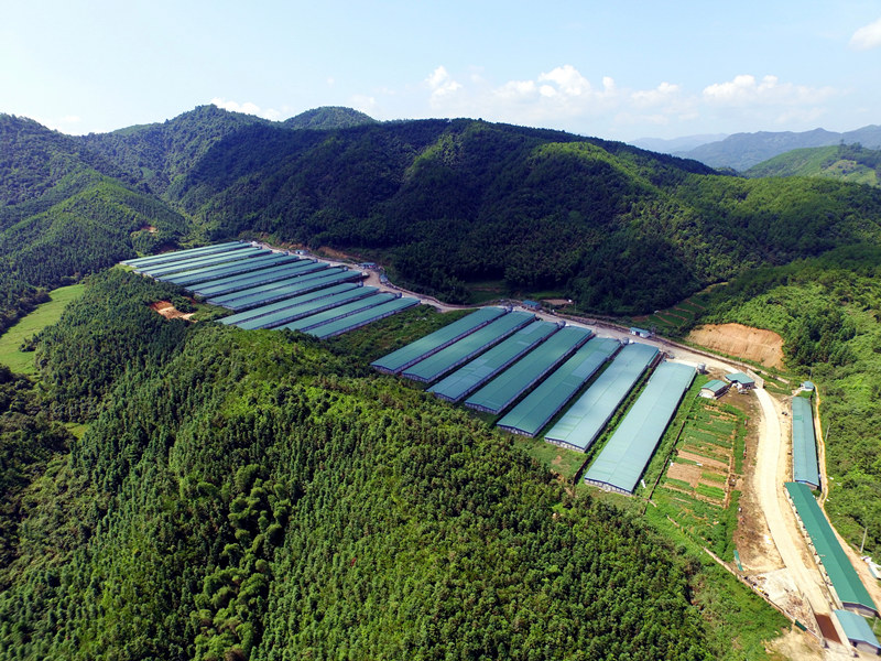 新利luck18(中国)体育·官方网站