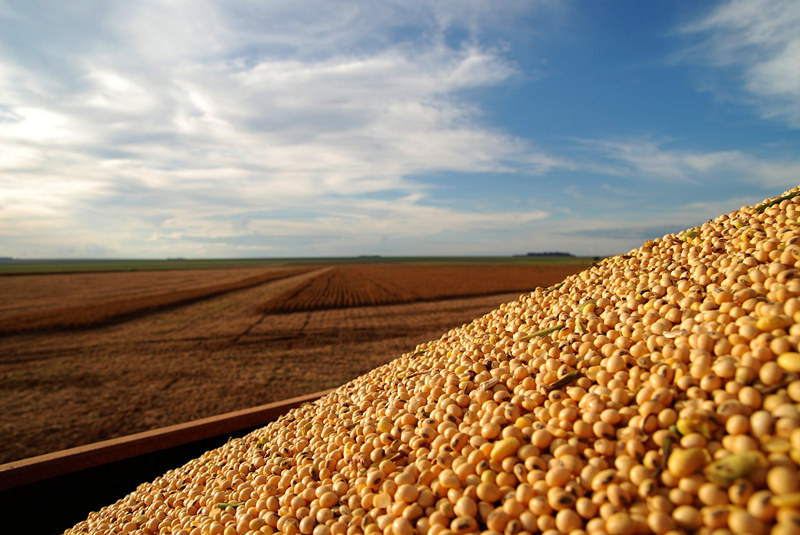 新利luck18(中国)体育·官方网站