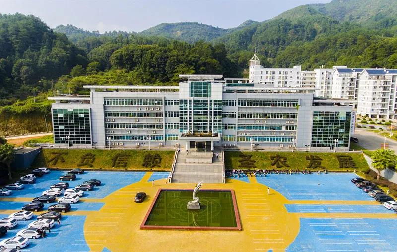 新利luck18(中国)体育·官方网站