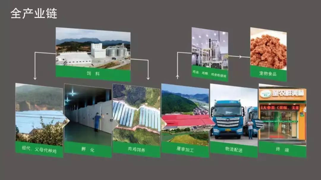 新利luck18(中国)体育·官方网站