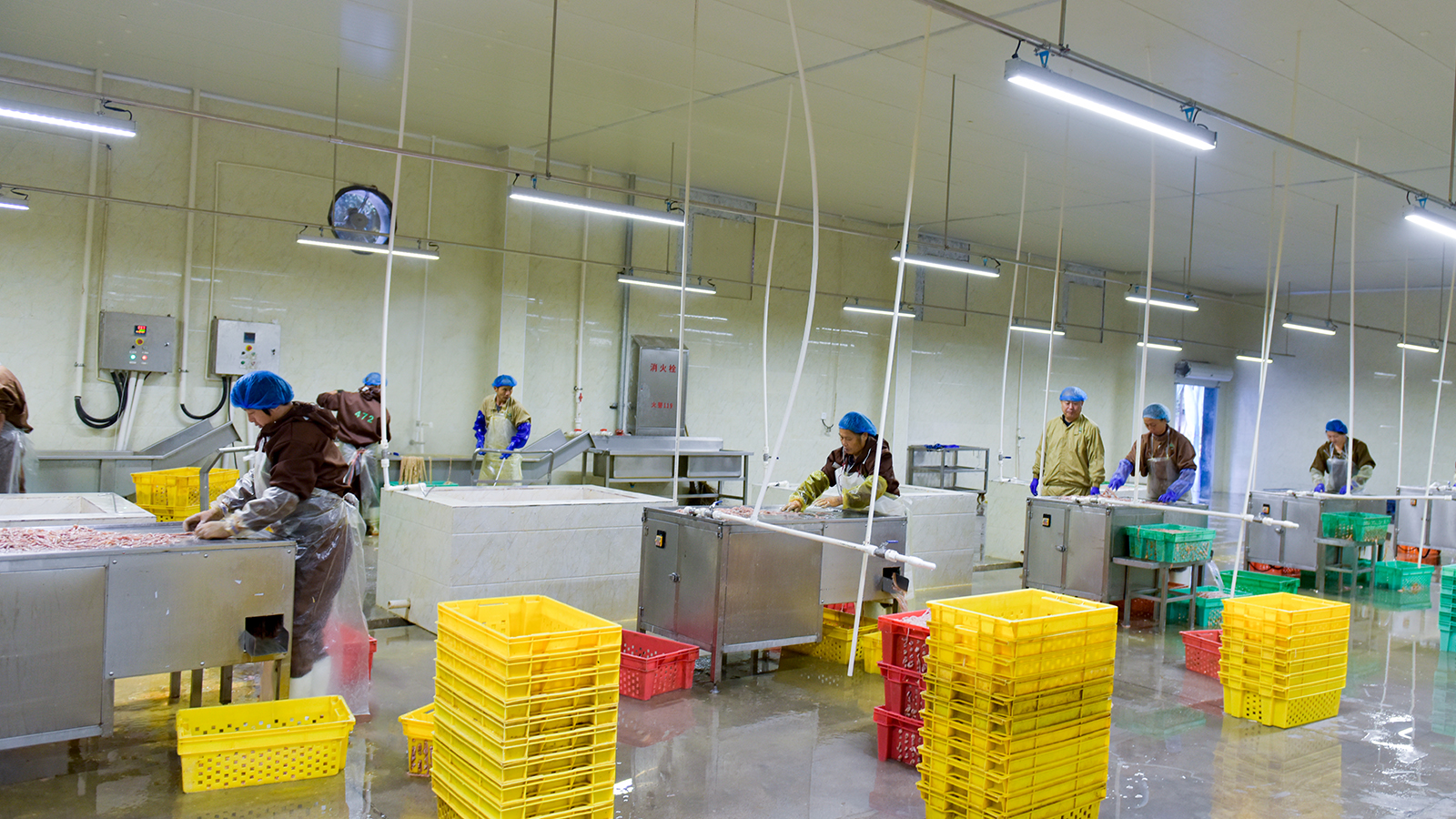 新利luck18(中国)体育·官方网站