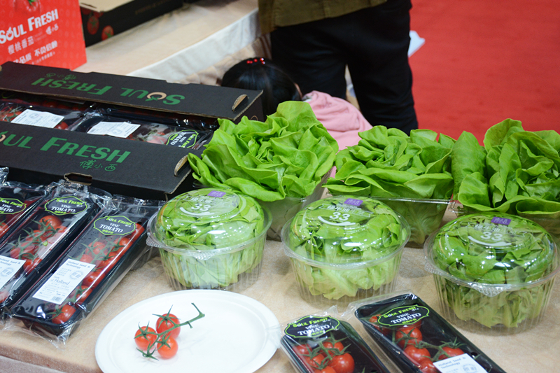 新利luck18(中国)体育·官方网站