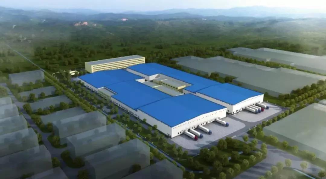 新利luck18(中国)体育·官方网站