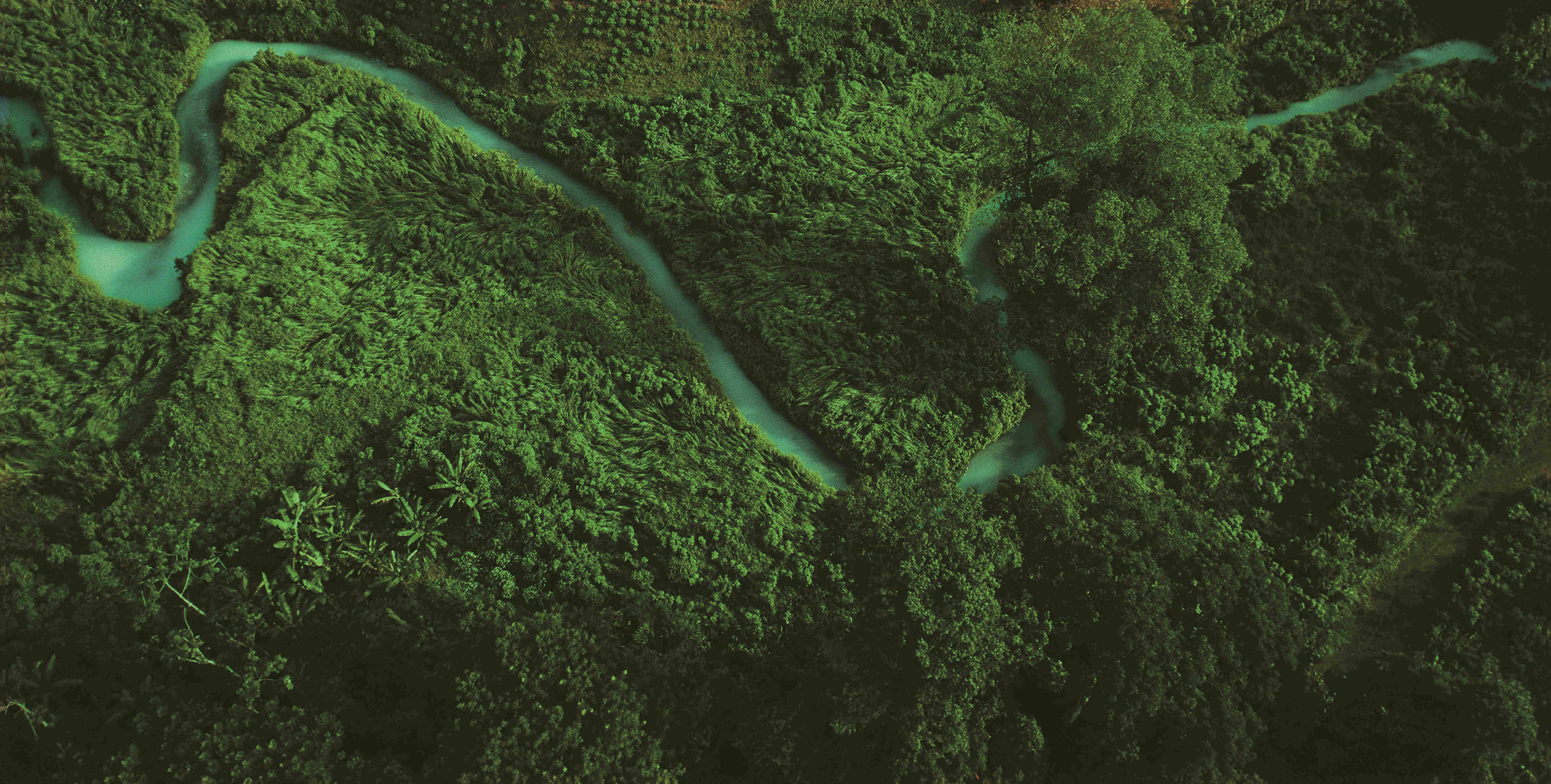 新利luck18(中国)体育·官方网站