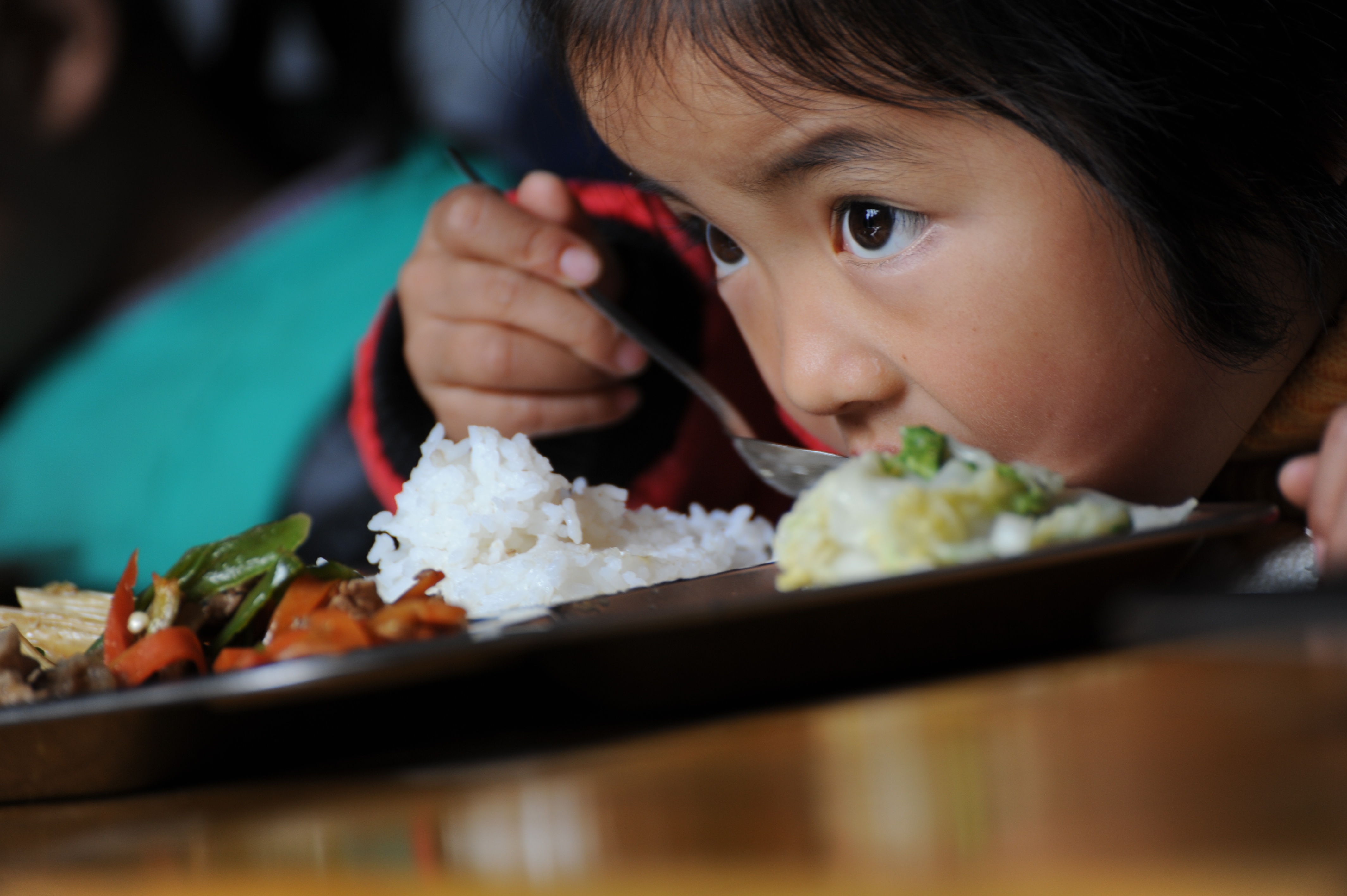 新利luck18(中国)体育·官方网站