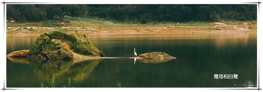 新利luck18(中国)体育·官方网站