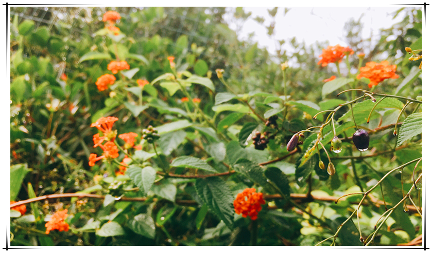 新利luck18(中国)体育·官方网站