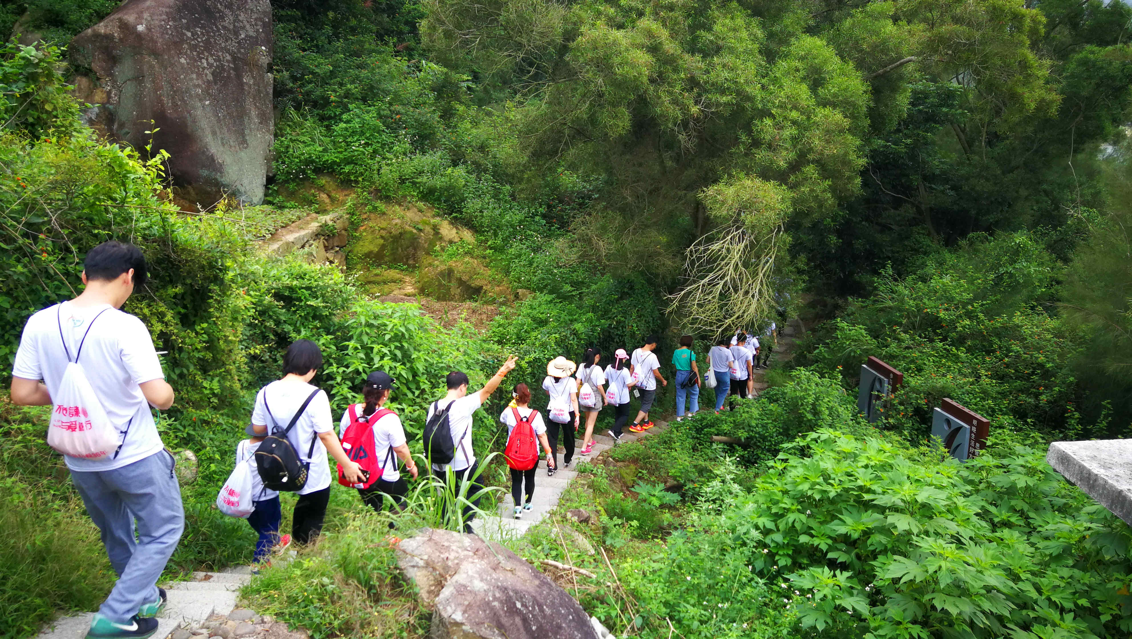 新利luck18(中国)体育·官方网站