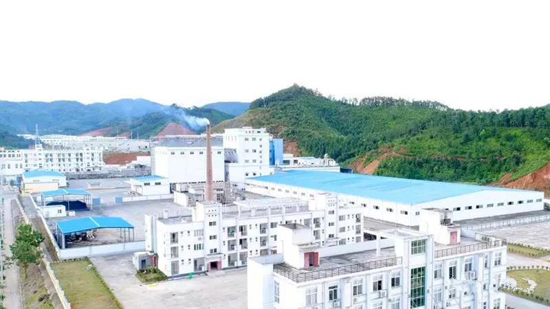 新利luck18(中国)体育·官方网站