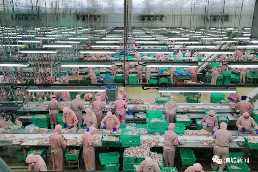 新利luck18(中国)体育·官方网站