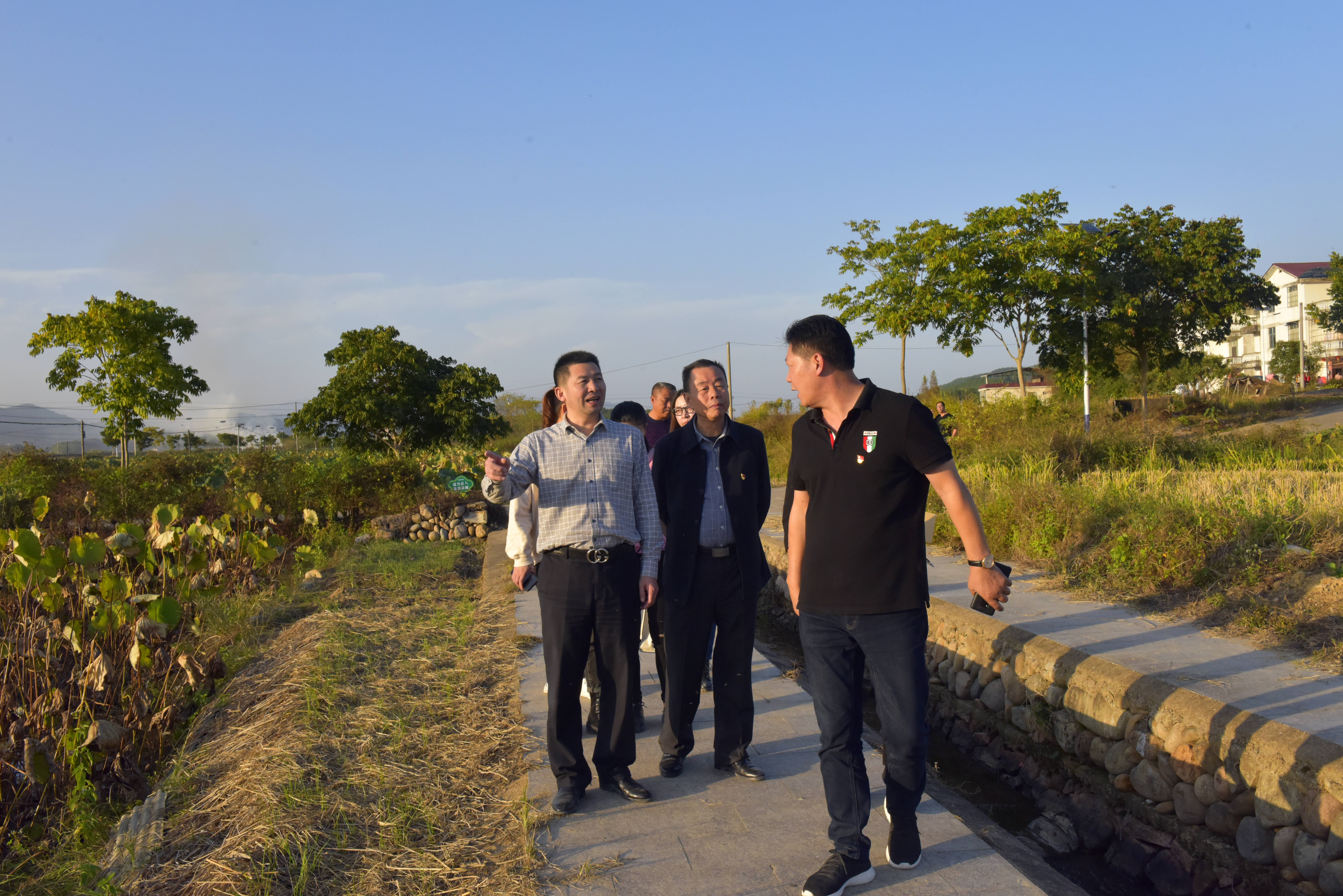 新利luck18(中国)体育·官方网站