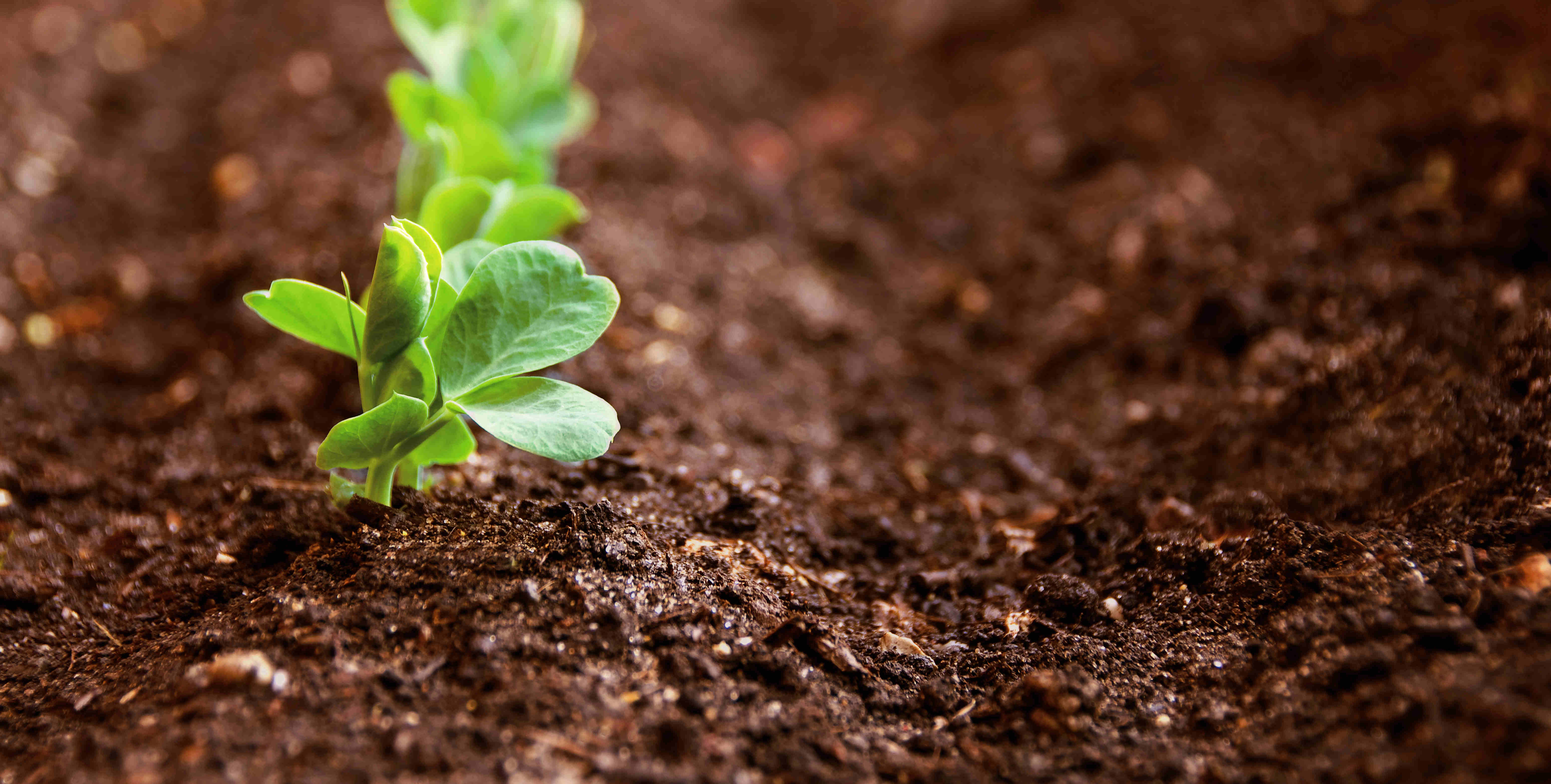 新利luck18(中国)体育·官方网站