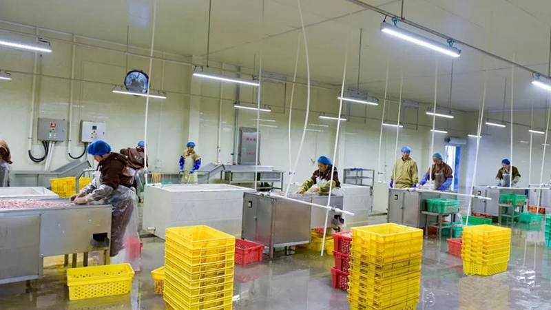 新利luck18(中国)体育·官方网站