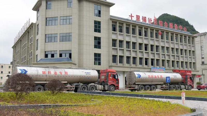 新利luck18(中国)体育·官方网站