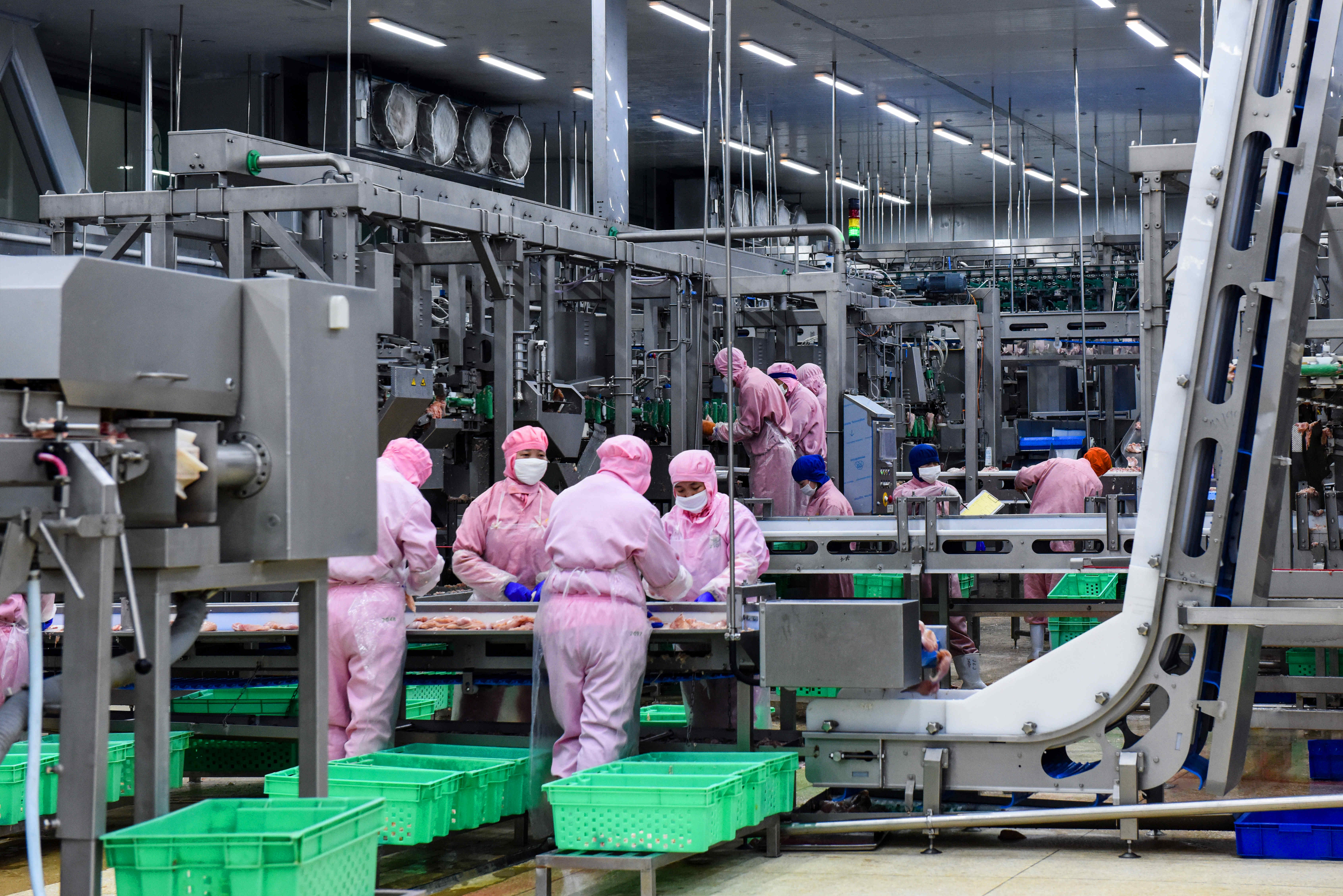 新利luck18(中国)体育·官方网站