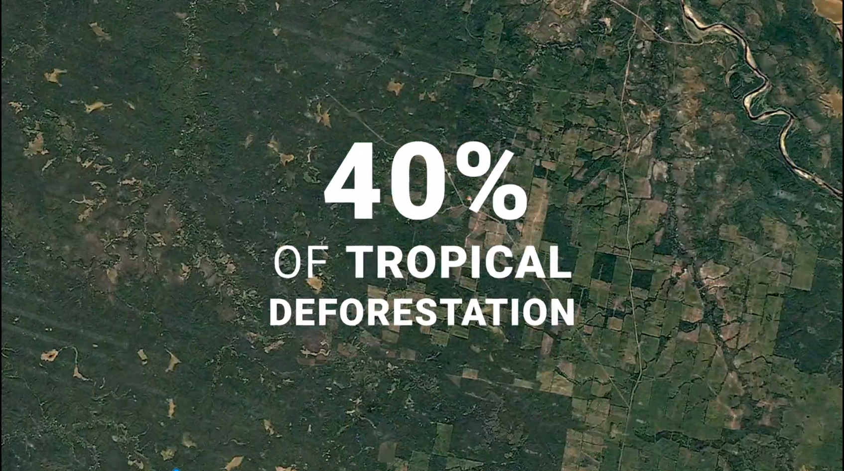 新利luck18(中国)体育·官方网站