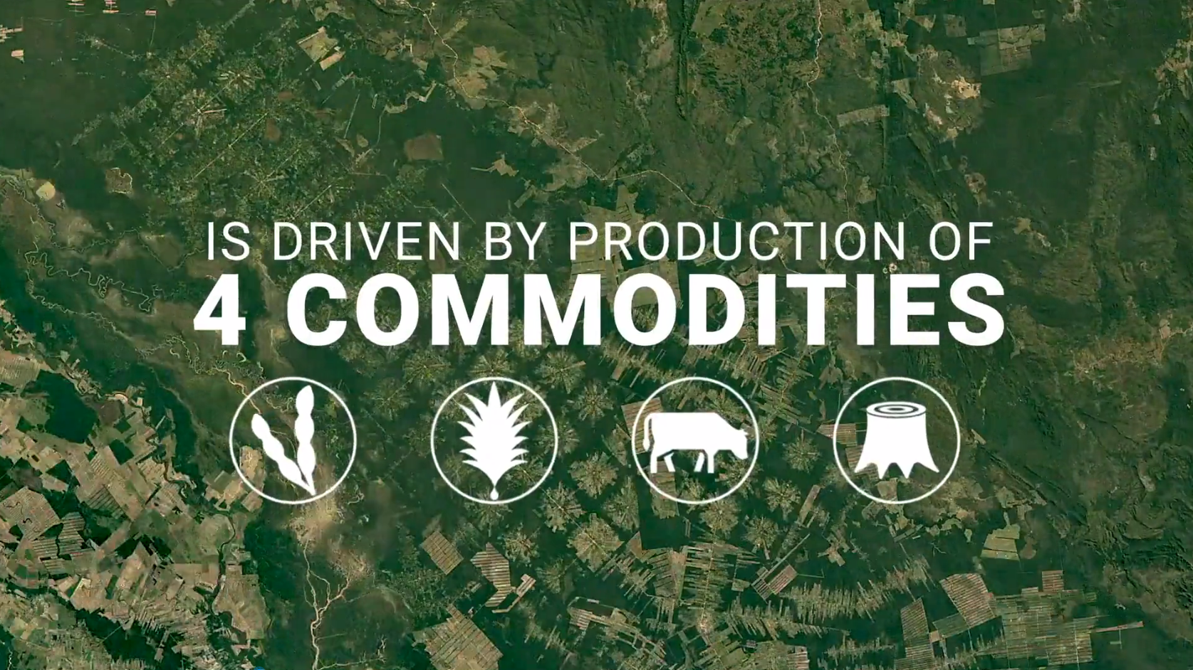 新利luck18(中国)体育·官方网站