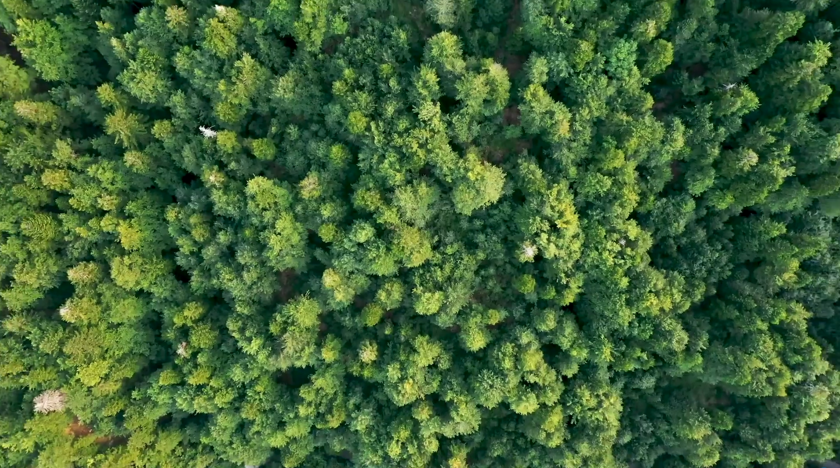 新利luck18(中国)体育·官方网站