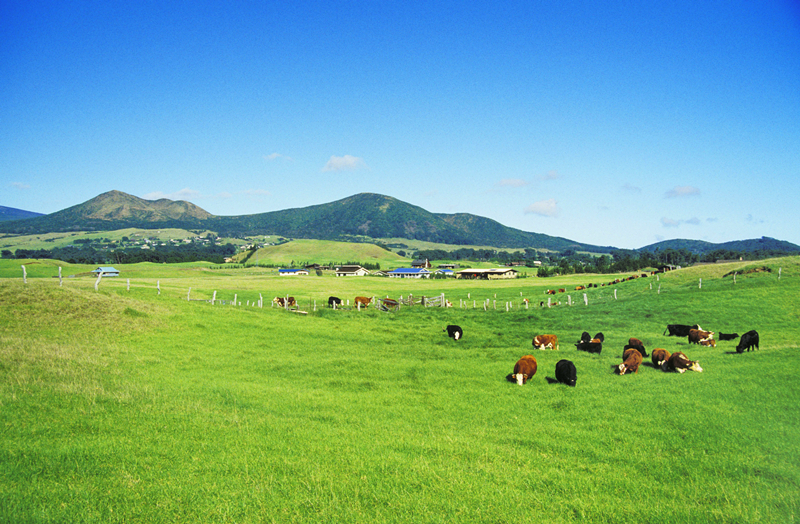 新利luck18(中国)体育·官方网站