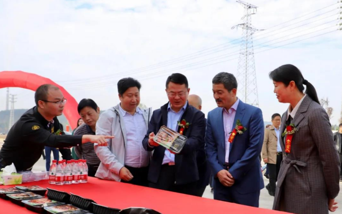 新利luck18(中国)体育·官方网站