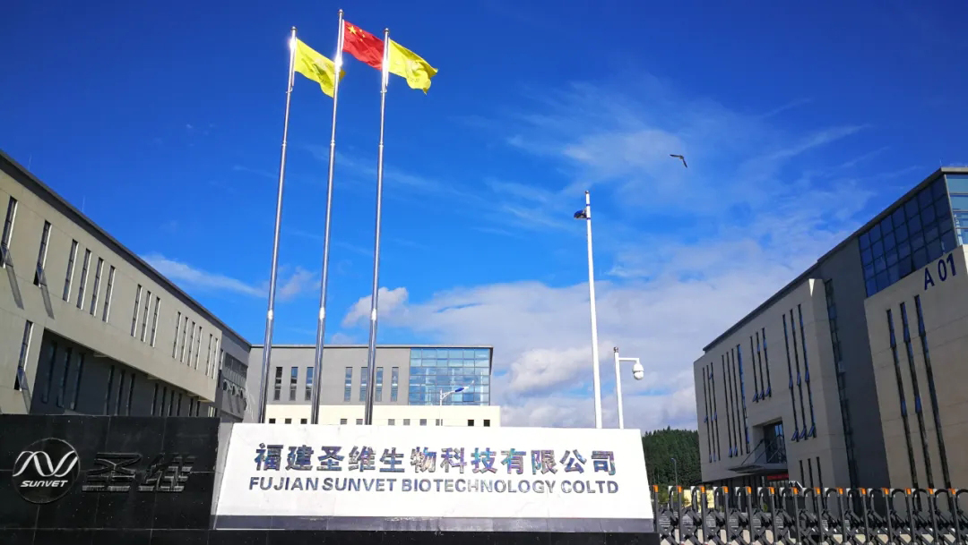 新利luck18(中国)体育·官方网站