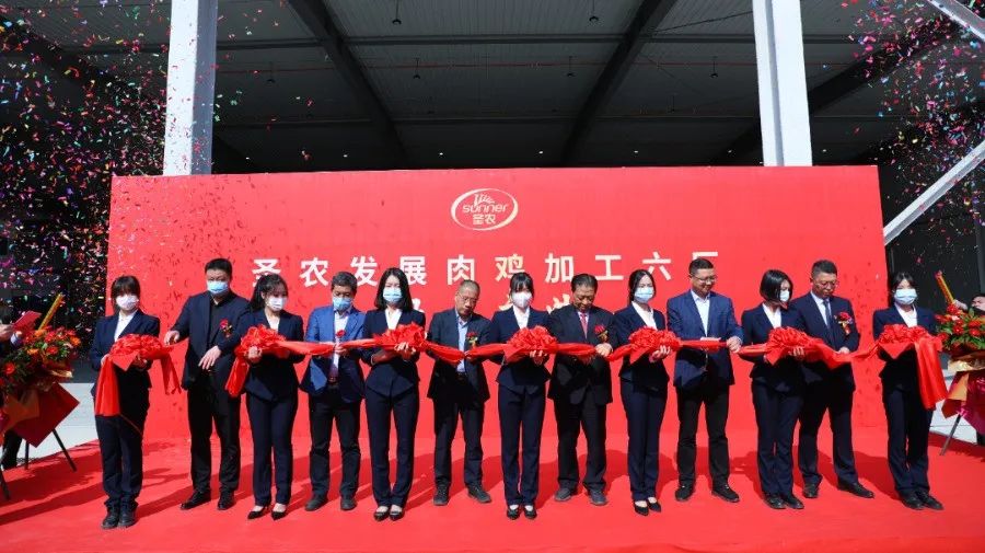 新利luck18(中国)体育·官方网站