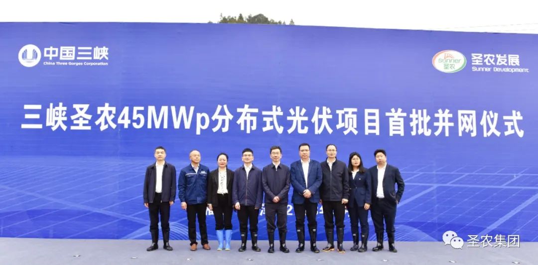 新利luck18(中国)体育·官方网站