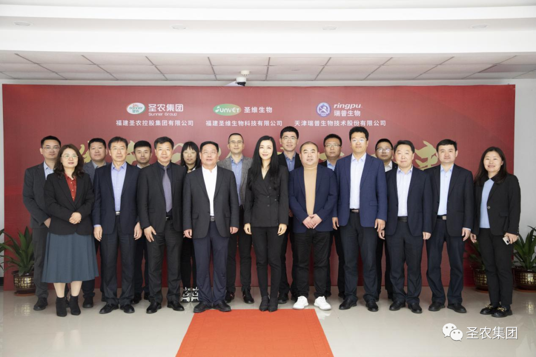 新利luck18(中国)体育·官方网站