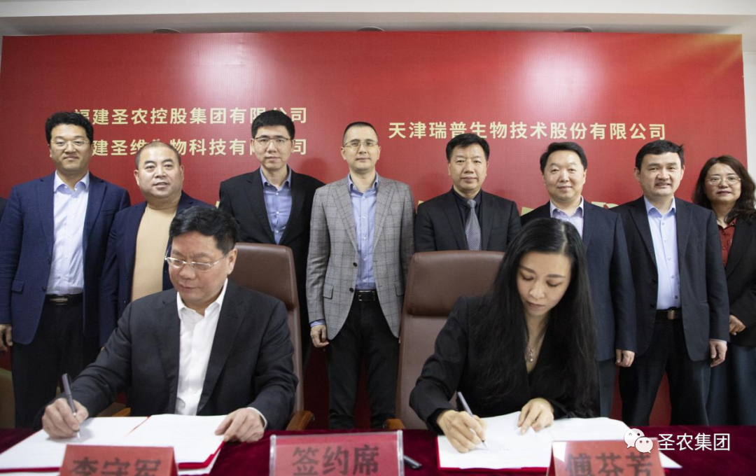 新利luck18(中国)体育·官方网站