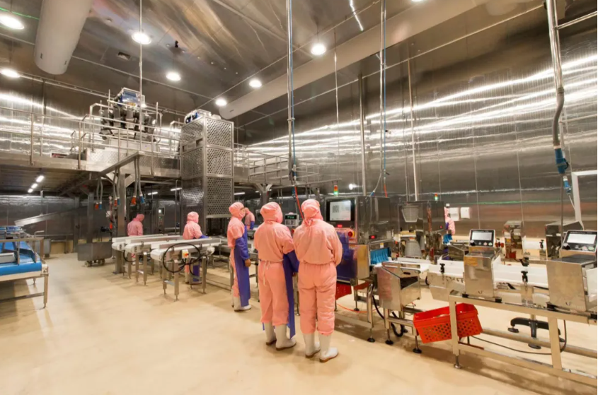 新利luck18(中国)体育·官方网站