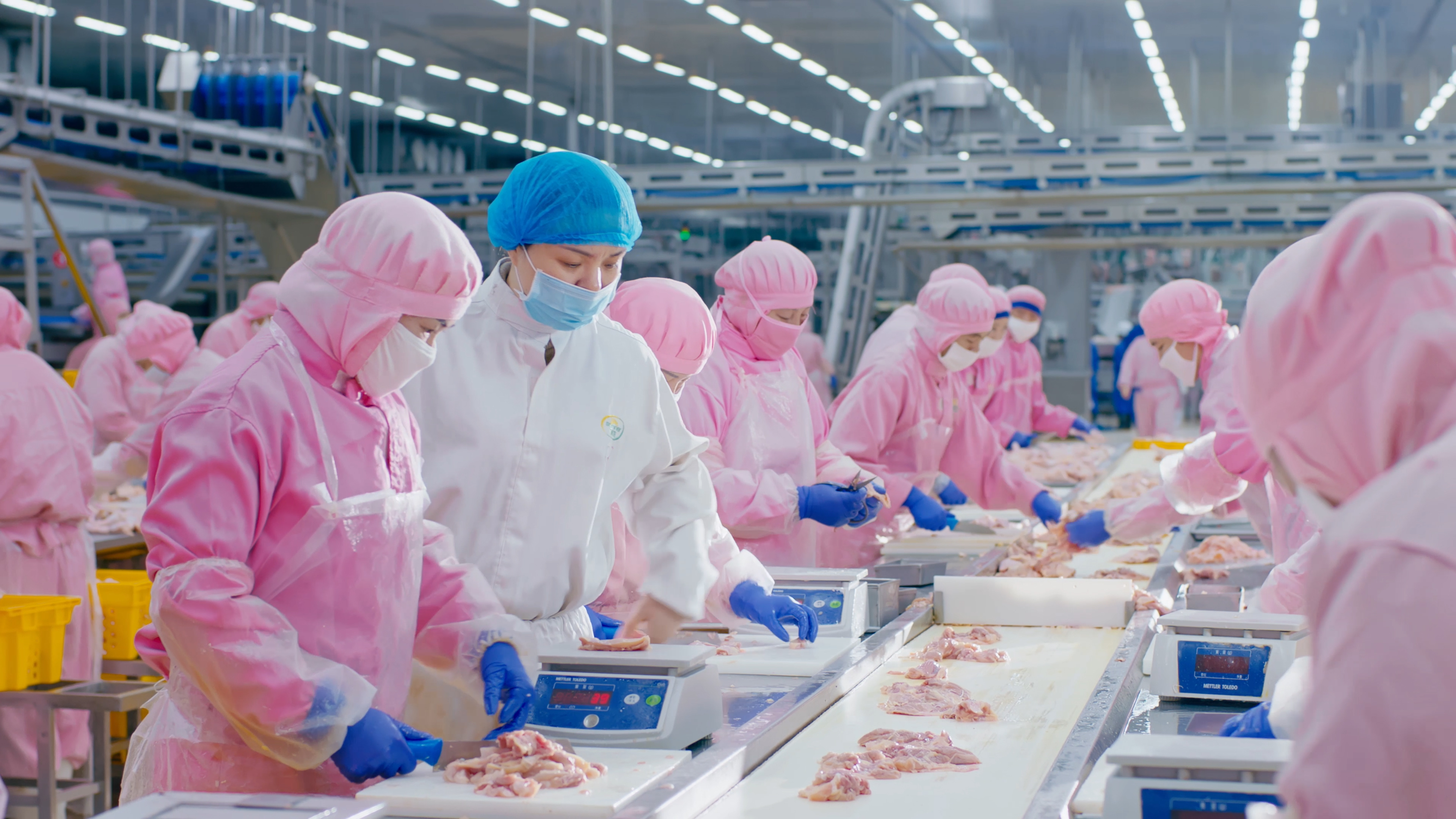 以人为本，，，，，，，携手员工配合生长