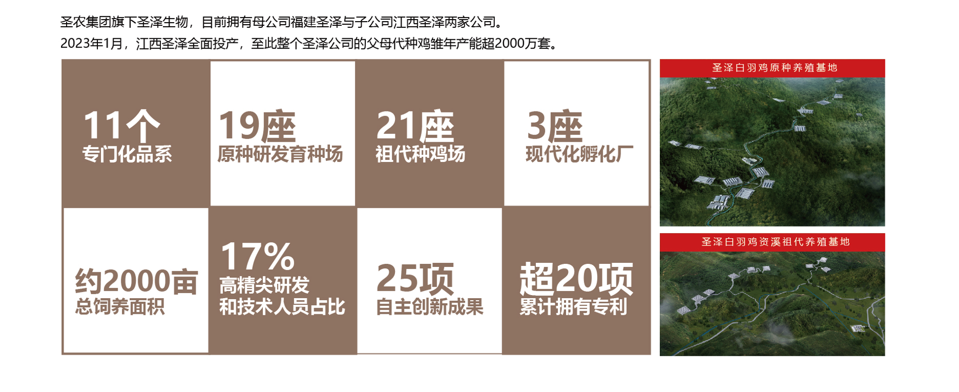 新利luck18(中国)体育·官方网站